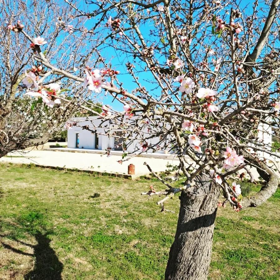 Casina Pompiliano Nardò Exterior foto